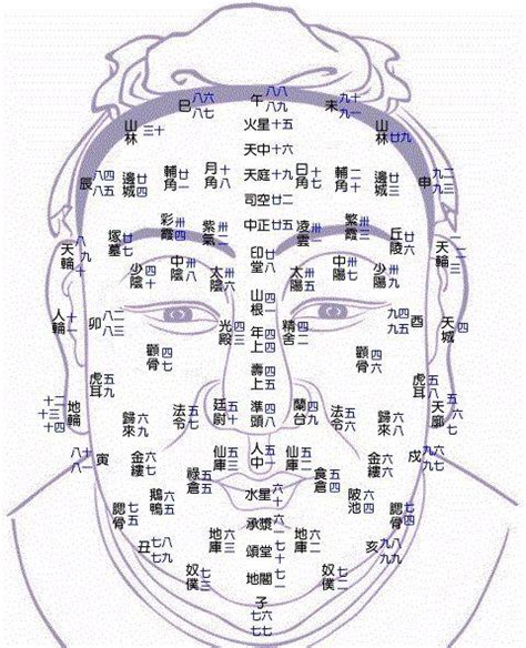 流年面相年齡|1到100岁，面相流年气运图教你如何看自己的面相